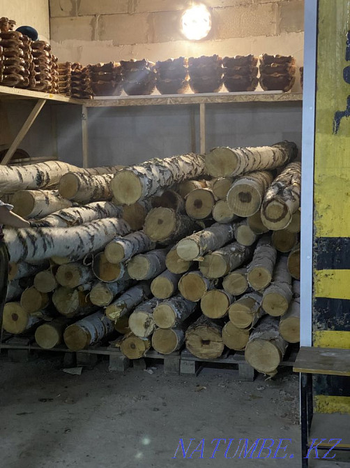 Береза кругляк Алгабас - изображение 3