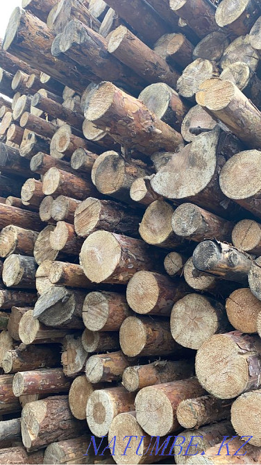 Lumber / Board / Beam / Rafters Petropavlovsk - photo 4