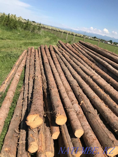 Timber round timber 6 meters Taldykorgan - photo 1