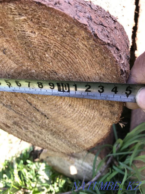 Timber round timber 6 meters Taldykorgan - photo 4