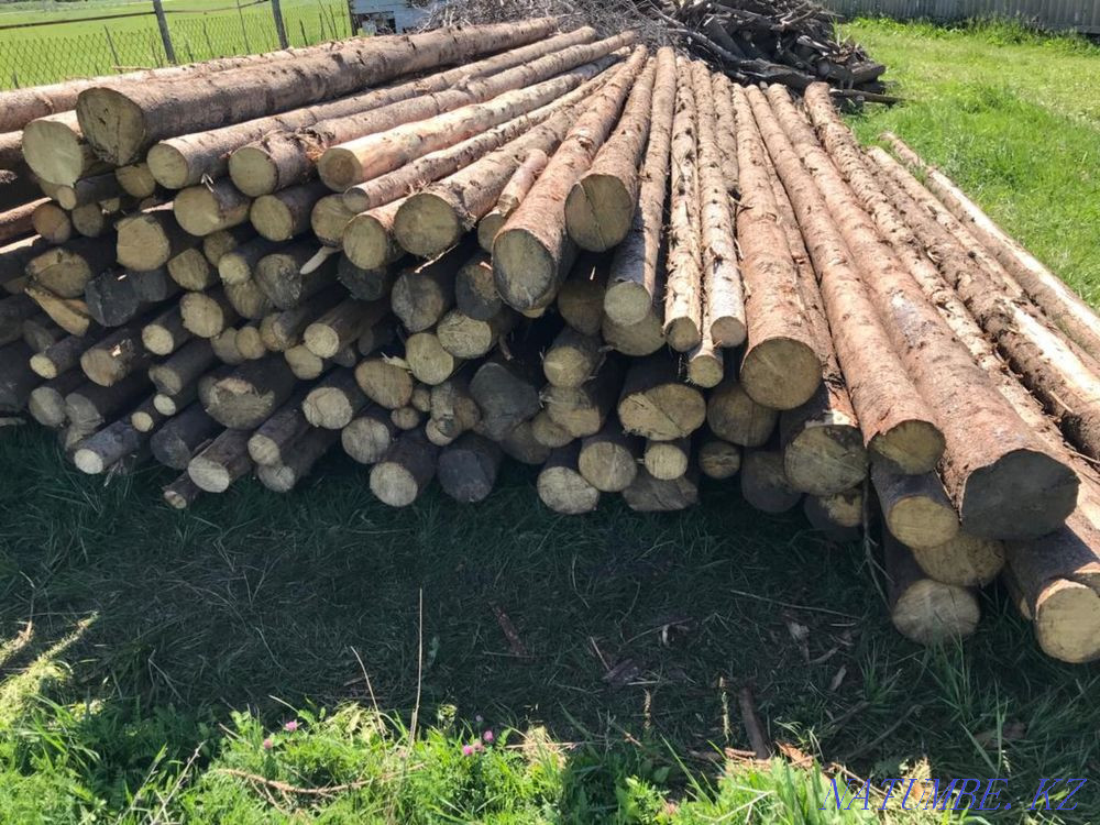 Timber round timber 6 meters Taldykorgan - photo 3