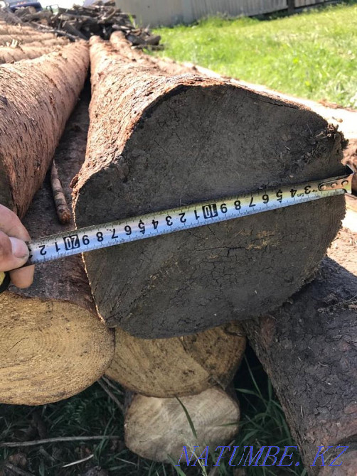 Timber round timber 6 meters Taldykorgan - photo 5