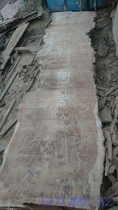 I will sell slabs of burl elm, oak, ash, maple price 350,000 tenge. Almaty - photo 4