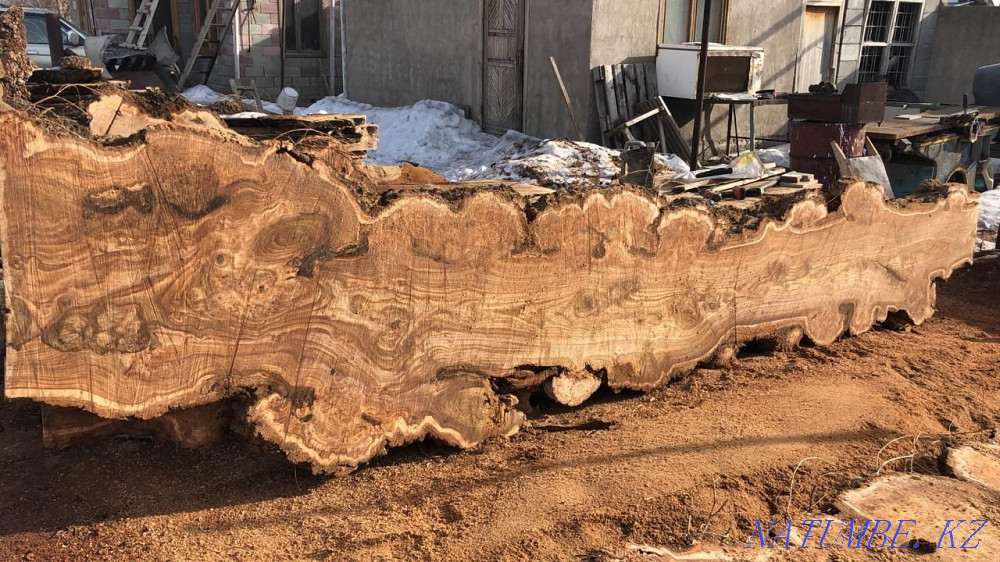 I will sell slabs of burl elm, oak, ash, maple price 350,000 tenge. Almaty - photo 1