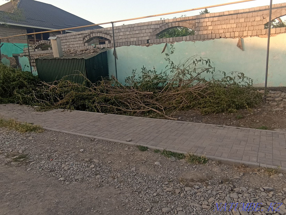 A?ashtar Satylady Turkestan - photo 3