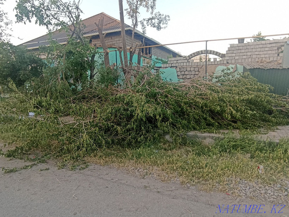 A?ashtar Satylady Turkestan - photo 1