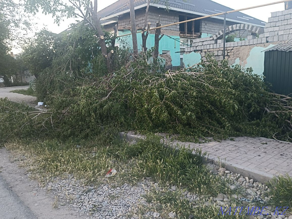 A?ashtar Satylady Turkestan - photo 2