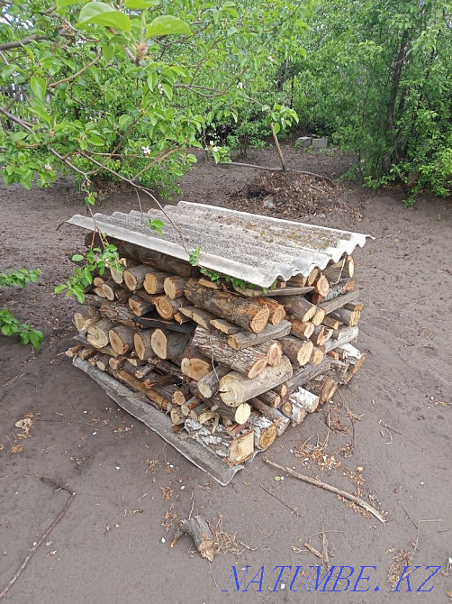 Дрова для бани сухие Костанай - изображение 4