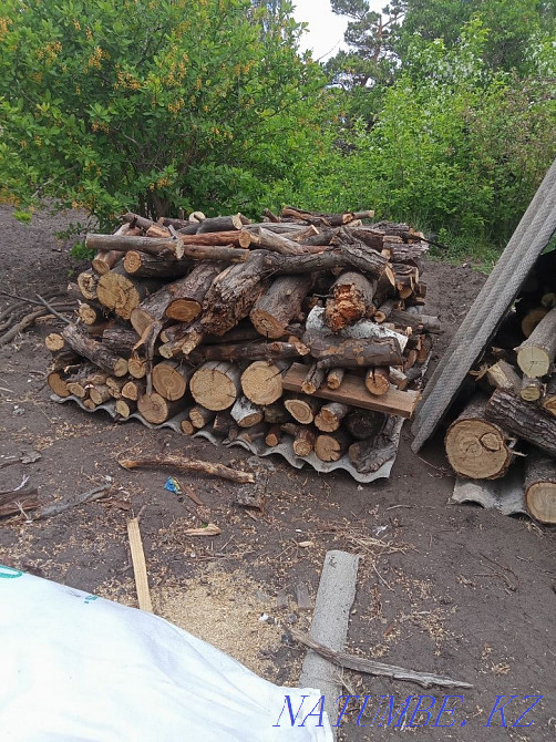 Дрова для бани сухие Костанай - изображение 1