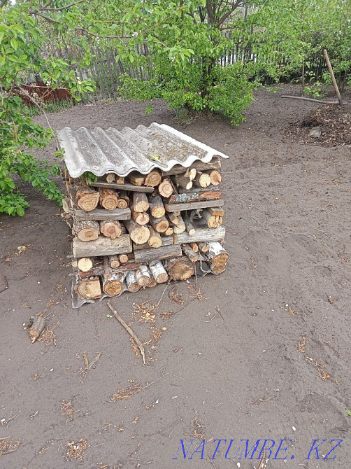 Дрова для бани сухие Костанай - изображение 3