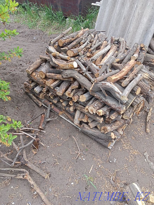 Дрова для бани сухие Костанай - изображение 2