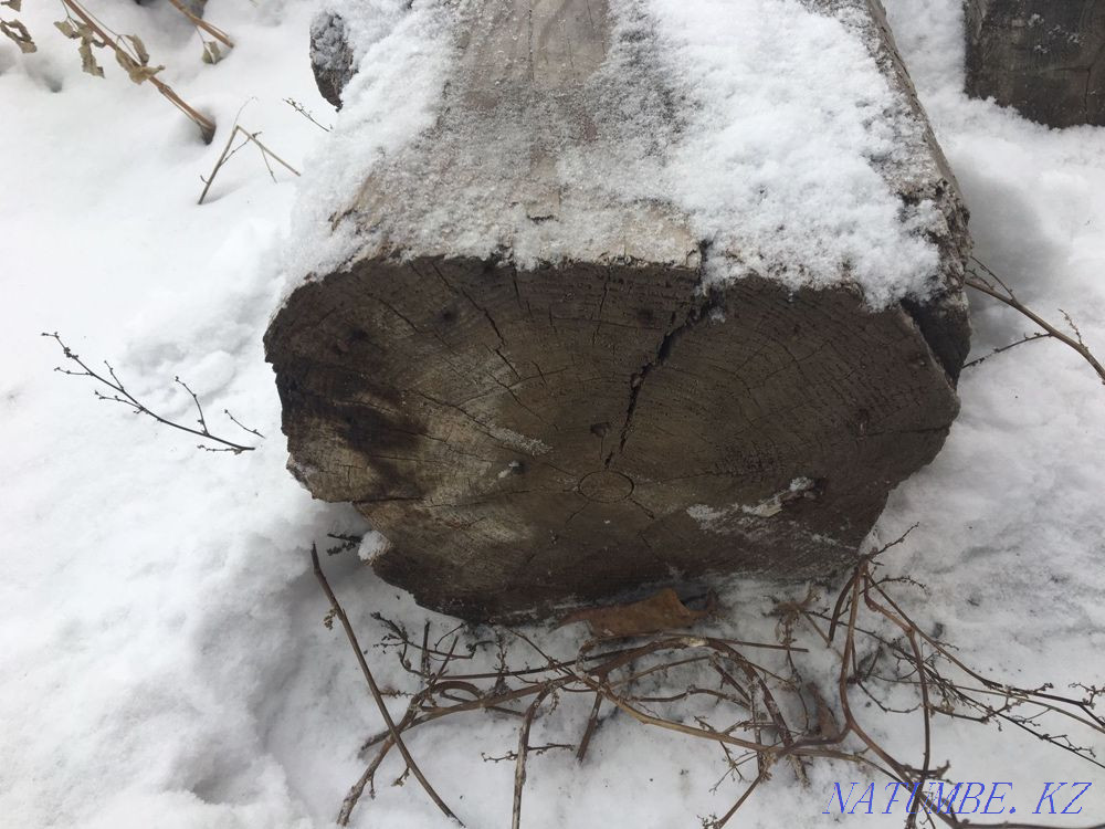 I will sell logs Semey - photo 2