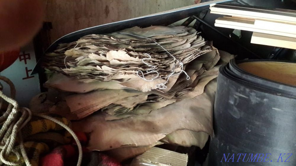 Fine wood veneer Abay - photo 1