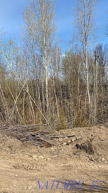 Отдам на дрова.. Усть-Каменогорск - изображение 1