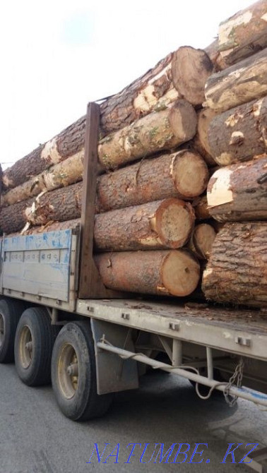 Edged and unedged board. Kostanay city Kostanay - photo 6