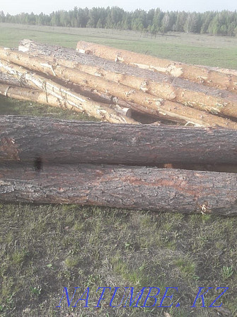 I will sell a round timber of a pine.  - photo 2
