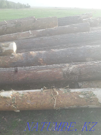 I will sell a round timber of a pine.  - photo 3