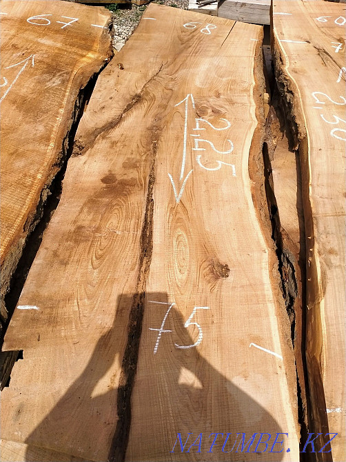 Слэб карагача толщина 7 см.. ясень.орех Тараз - изображение 4