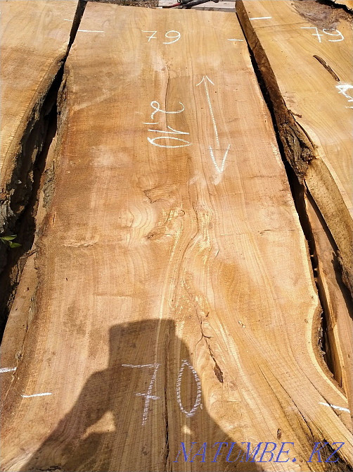 Слэб карагача толщина 7 см.. ясень.орех Тараз - изображение 6