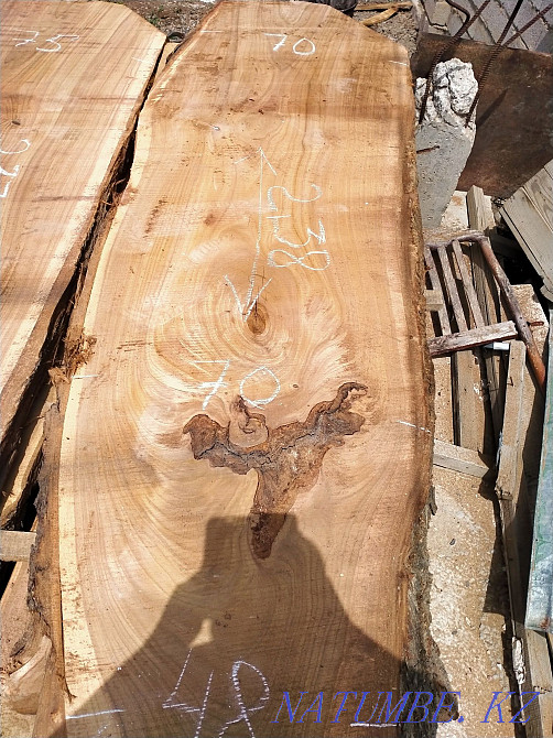 Слэб карагача толщина 7 см.. ясень.орех Тараз - изображение 5