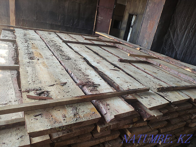 Unedged dry pine board Отеген батыра - photo 1