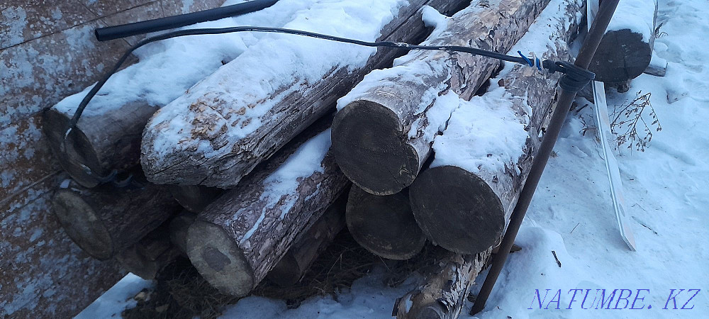 Sell pine logs Kostanay - photo 2