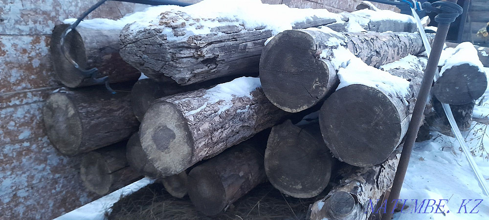 Sell pine logs Kostanay - photo 1