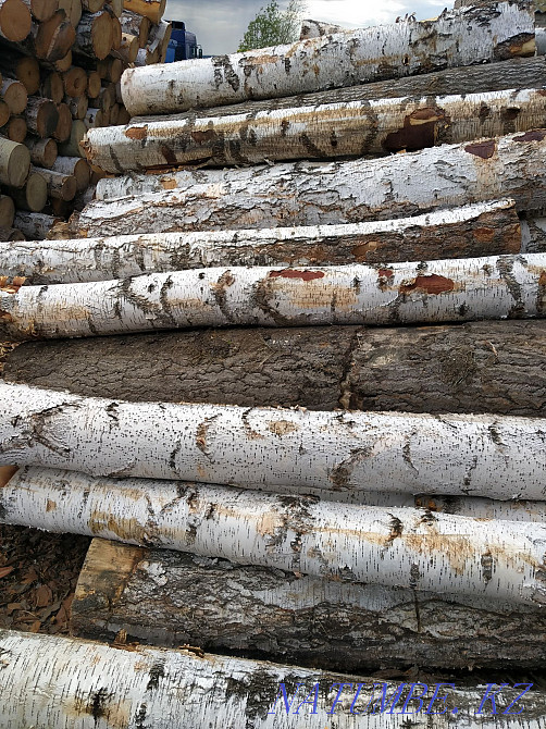 Beam board birch Petropavlovsk - photo 2