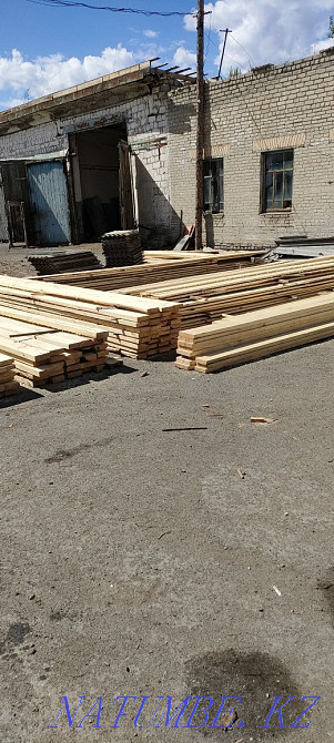 Forest of any size  - photo 2