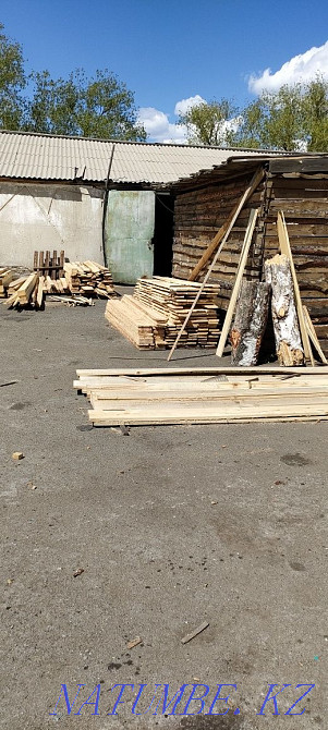 Forest of any size  - photo 4