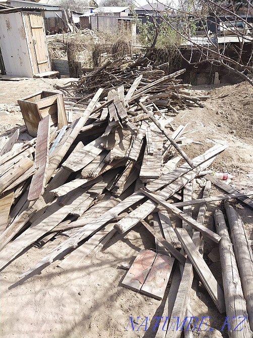 Отын-агаштар тегин  - изображение 1