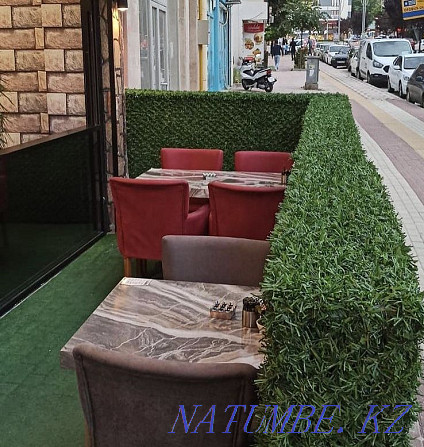 Fence Fencing Mesh Lawn Landscape Design Artificial Fence Astana - photo 4