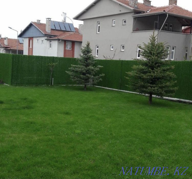 Fence Fencing Mesh Lawn Landscape Design Artificial Fence Astana - photo 8