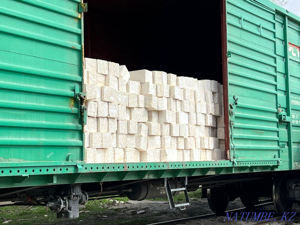 Aktobe Rakushnyak price 230 tenge Aqtobe - photo 3