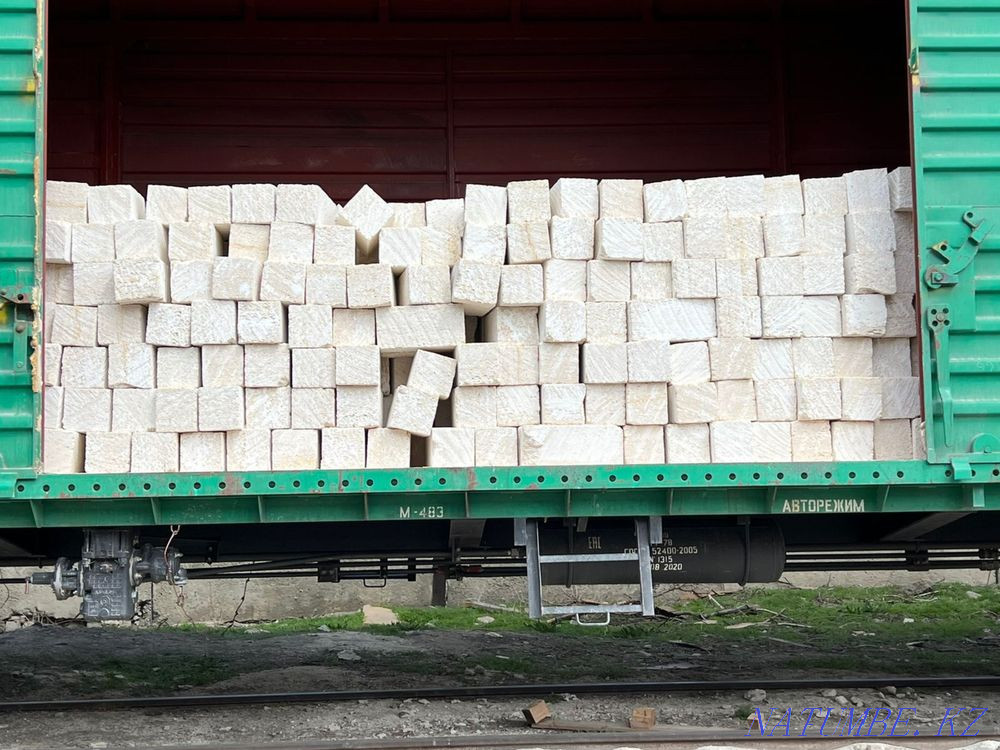 Aktobe Rakushnyak price 230 tenge Aqtobe - photo 1