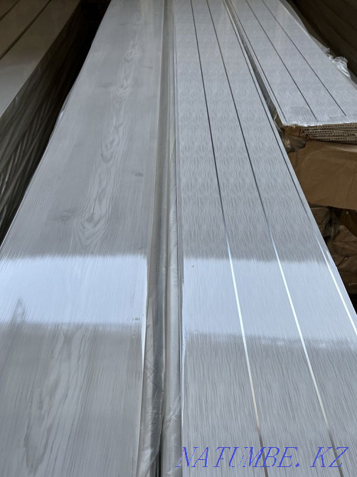 Panel decor Taldykorgan - photo 3