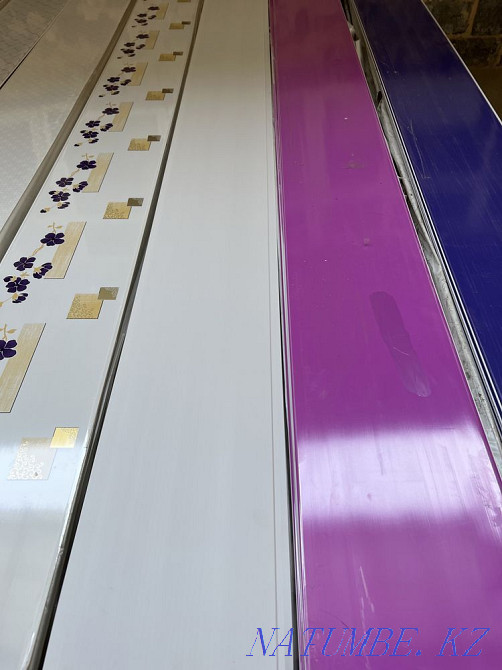 Panel decor Taldykorgan - photo 6