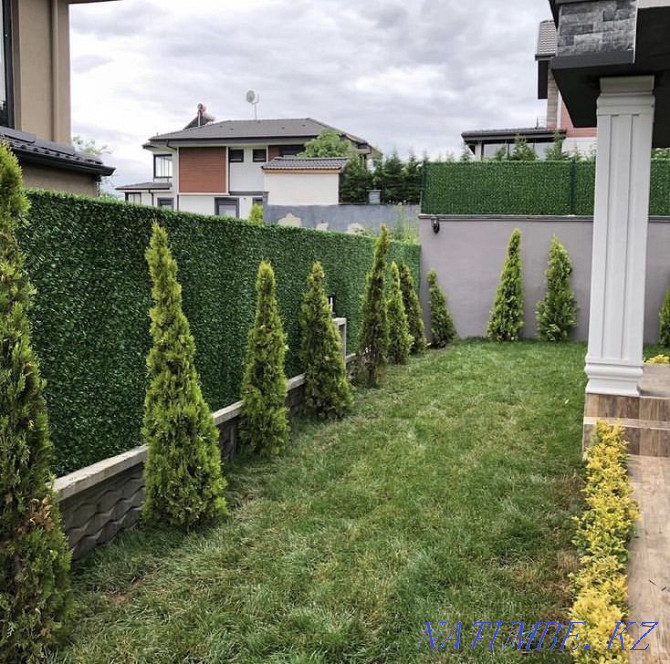 Fence Fencing Mesh Lawn Landscape Design Artificial Hedge Atyrau - photo 3