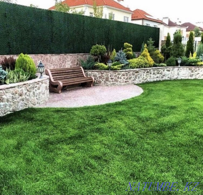 Fence Fencing Mesh Lawn Landscape Design Artificial Hedge Atyrau - photo 8