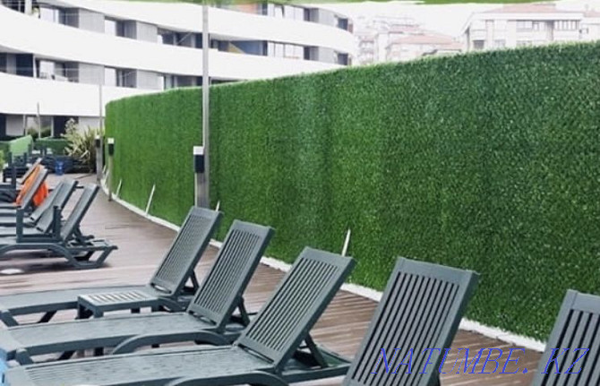 Fence Fencing Mesh Lawn Landscape Design Artificial Hedge Atyrau - photo 4