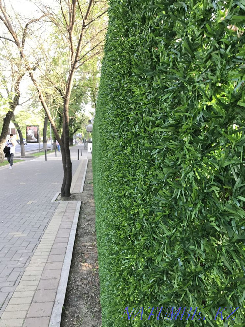 Fence Fencing Mesh Lawn Landscape Design Artificial Hedge Atyrau - photo 1