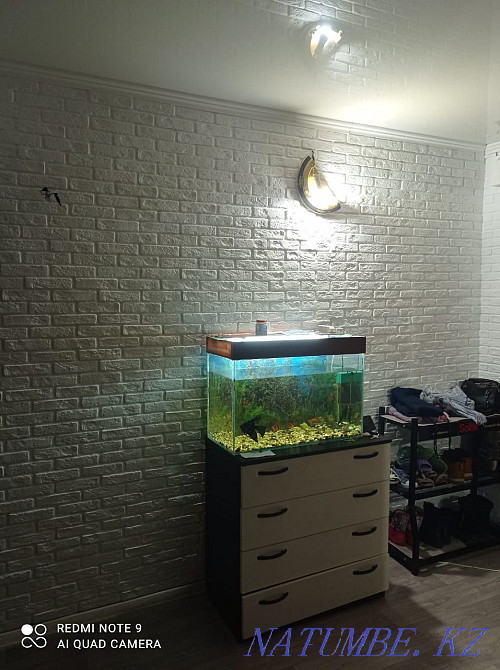 Декоративный кирпич, искусственный камень, гипсовые панели, лепнина Костанай - изображение 7