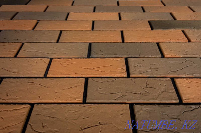 Bavarian brickwork, flash-fired, smooth, rolled. from factory Karagandy - photo 4