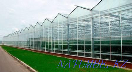 Cellular polycarbonate (Poligal) for greenhouses at low prices. Aktau Aqtau - photo 5