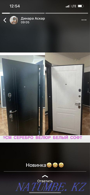 Entrance metal iron exterior steel doors Almaty - photo 3