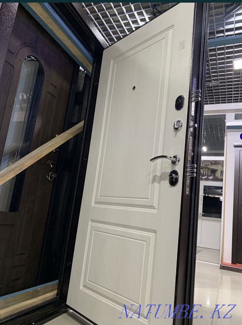 Entrance metal iron exterior steel doors Almaty - photo 2