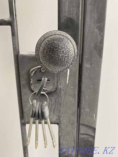 Iron door Astana - photo 2