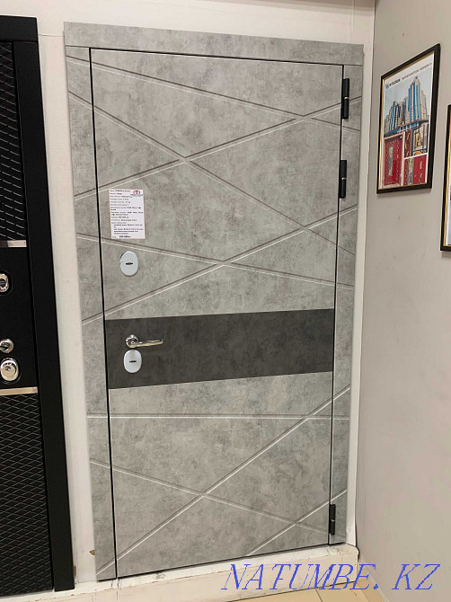 Steel doors, iron, bolt, street, Metalux, Argus, metal, Garda Astana - photo 7