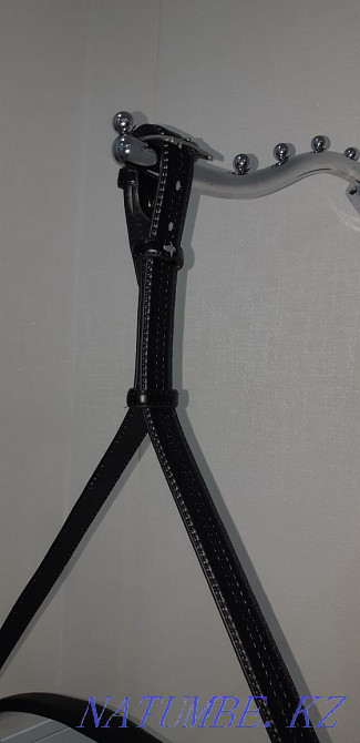 Belt mirror and more Astana - photo 3