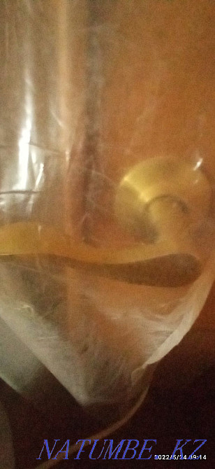 Sell interior doors Ust-Kamenogorsk - photo 3